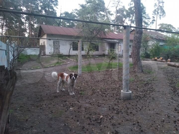 Коттедж 320 м² на участке 30 сот.