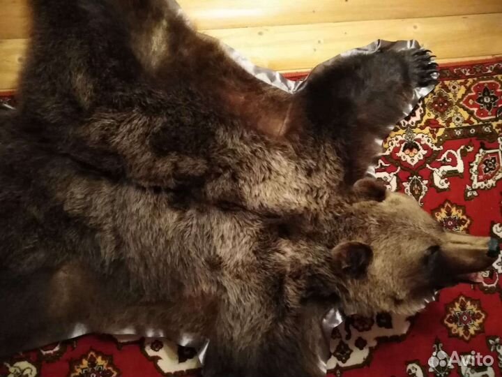 Шкура медведя(имитация)
