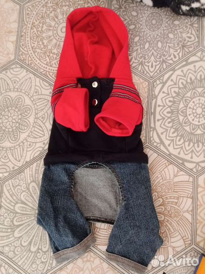 Одежда для собаки