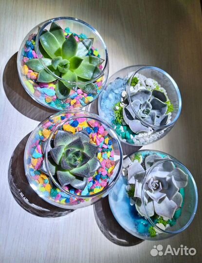 Флорариум compliment