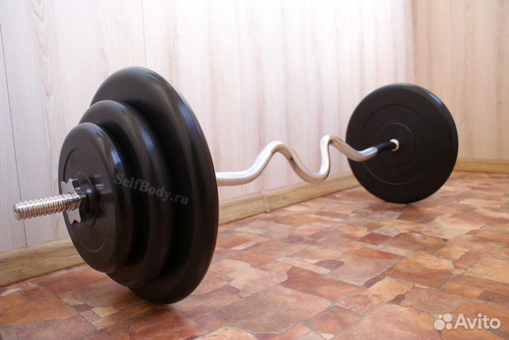 Штанга 66.1 кг (Ez-гриф + блины 2x15/2x10/2x5 кг)