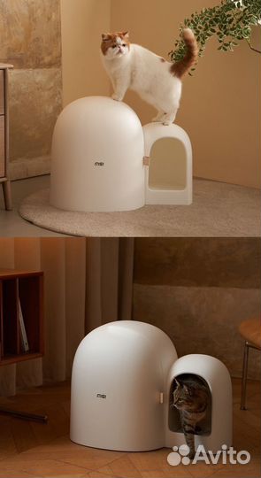 Закрытый лоток туалет для крупных кошек большой