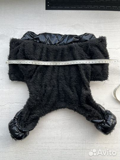 Одежда для собак мелких пород