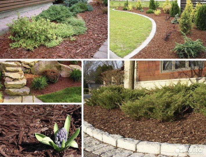 Кора ели мульча