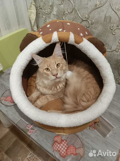 Лежанка для кошек и собак