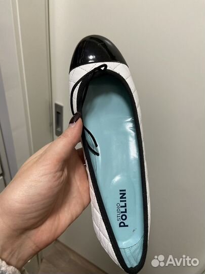 Балетки pollini