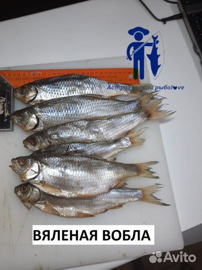 Икра вобла вяленая Астраханская
