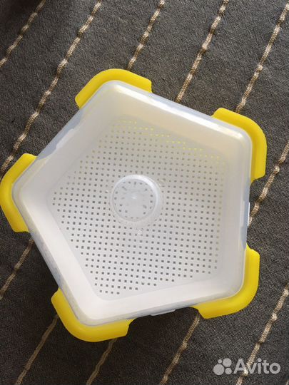 Лоток для проращивания семян