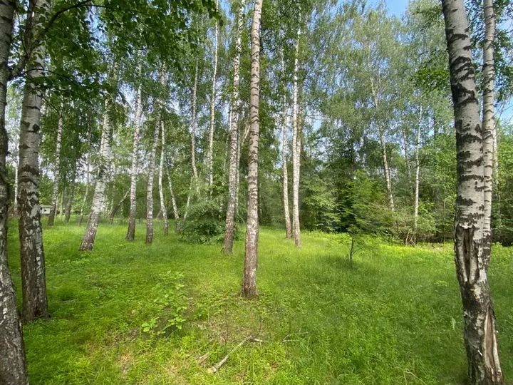 Участок 8 сот. (ИЖС)