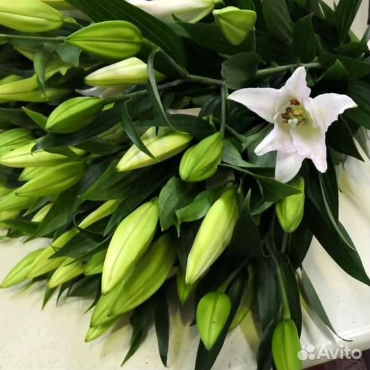 Букет из лилий