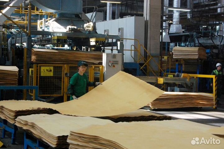 Сортировщик шпона и фанеры вахта