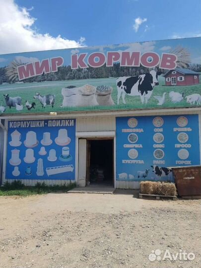 Лампа инфракрасная для обогрева птицы