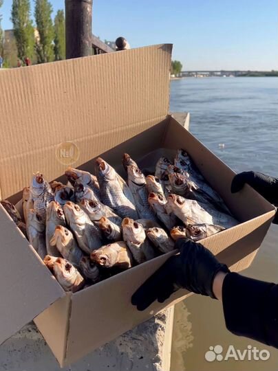 Вобла вяленая