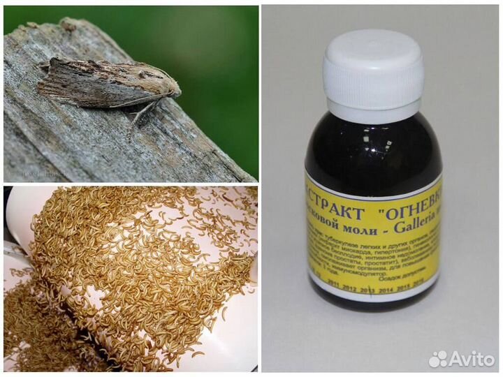 Пжвм сухой / огнёвка