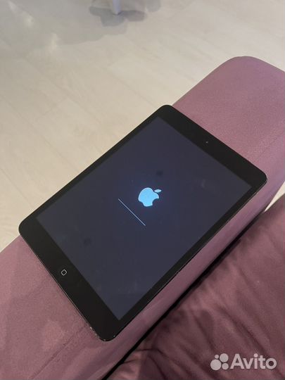 iPad mini a1455