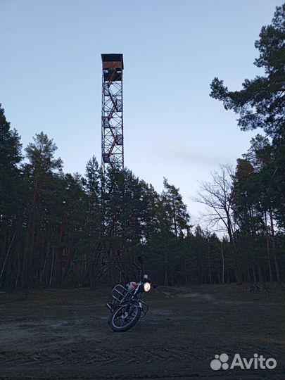 Альфа рх11