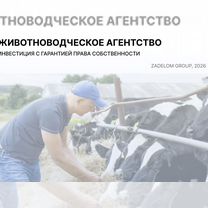 Животноводческое агентство в городе, Оттава