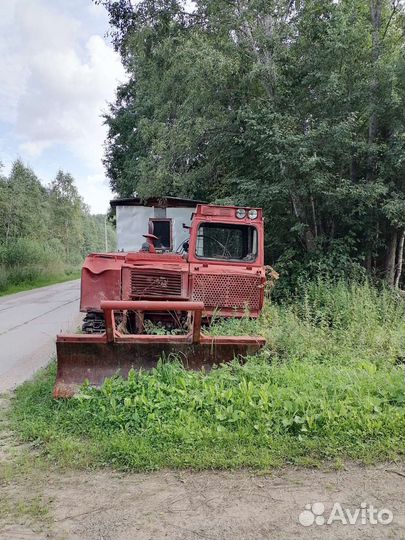 Трактор тдт-55