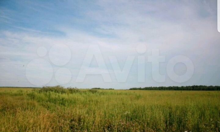 Участок 2,75 га (СНТ, ДНП)