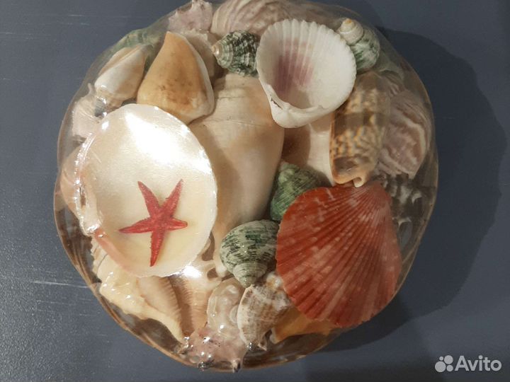Набор Ракушек