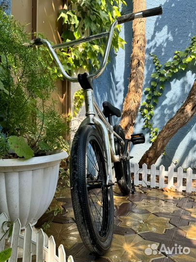 Tech team millennium