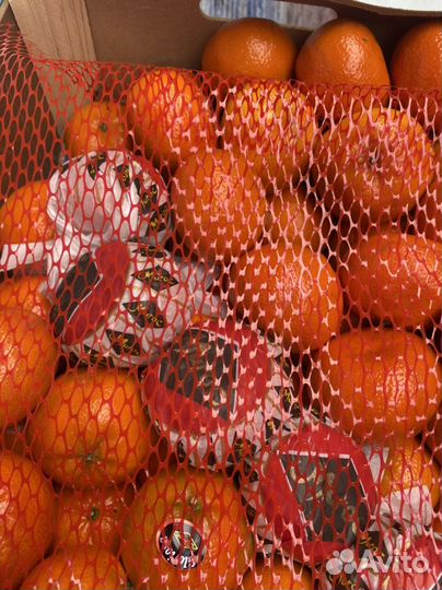 Мандарин Морокко 10кг