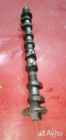 Распредвал Nissan Qashqai J10 1