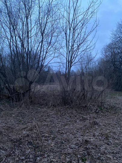 Участок 3 га (ИЖС)