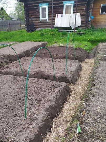 Дом 61 м² на участке 15 сот.