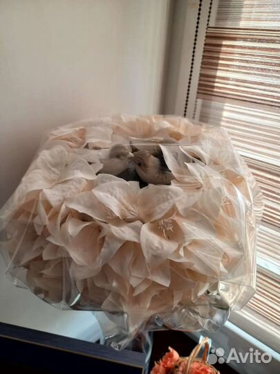 Букет для невесты. Новый