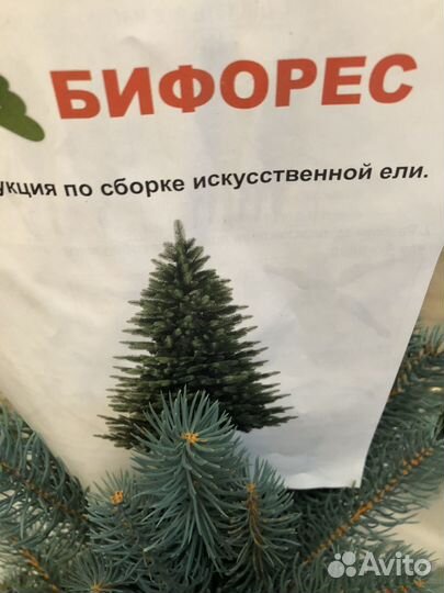 Ель голубая 150см