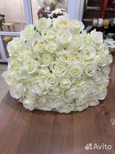 51 белая роза 70 см и 60 см. Розы 25,27,33,51,101