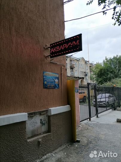 Аквариумные рыбки