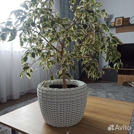 Кашпо для цветов из искусственного ротанга