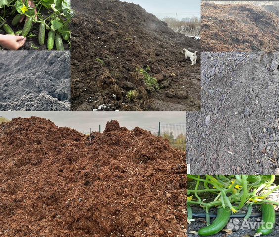 Перегной в день заказа