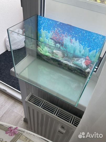 Аквариум
