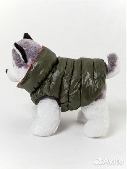 Одежда для собак