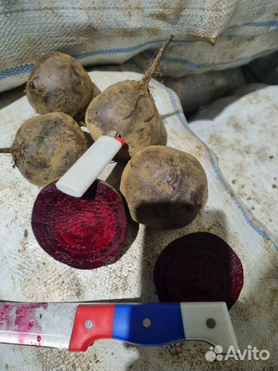 Свекла 1 сорт