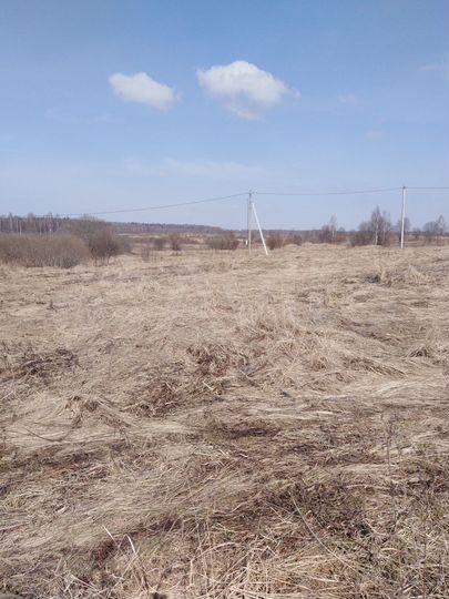 Участок 50 сот. (ИЖС)