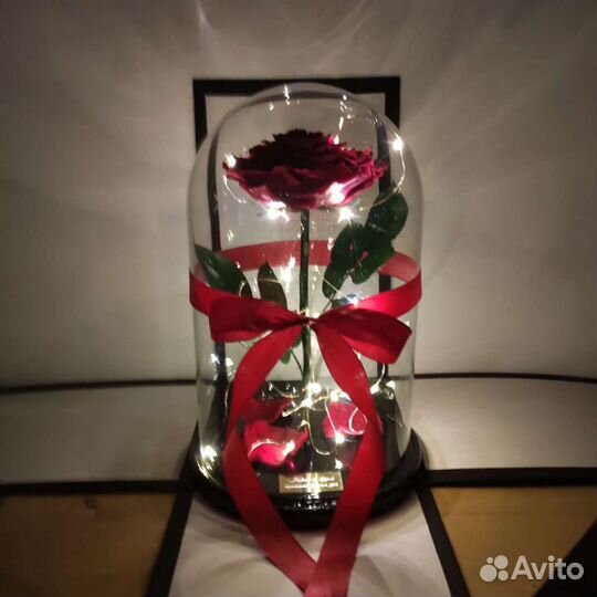 Роза в колбе