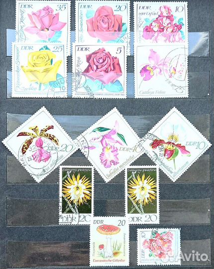 Редкие марки Германии прошлого века