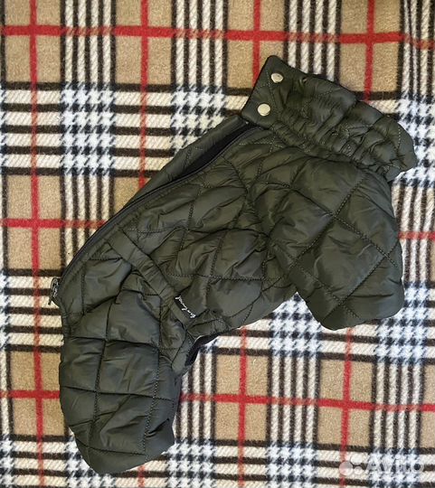 Комбинезон (зимний, весенний) для шпица (кобель)