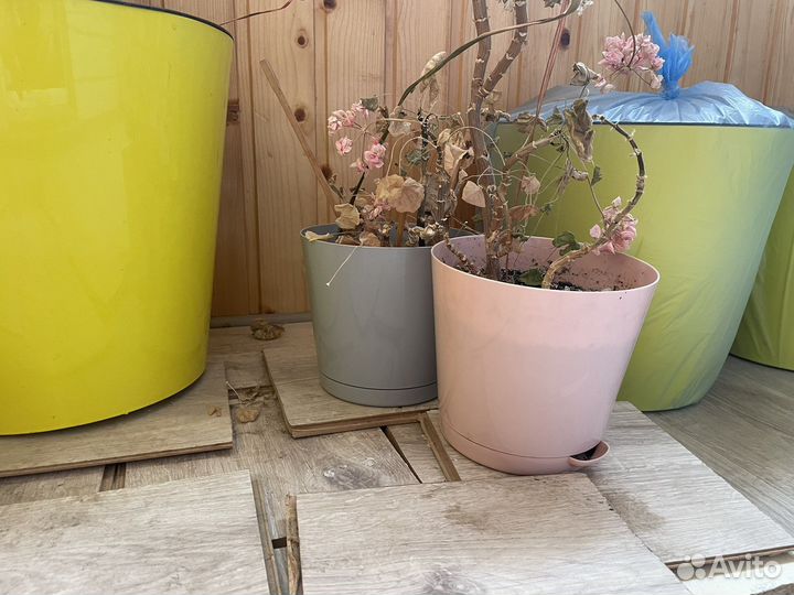 Горшок для цветов