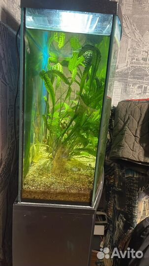 Грунт для аквариума