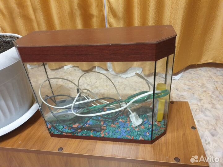 Аквариум