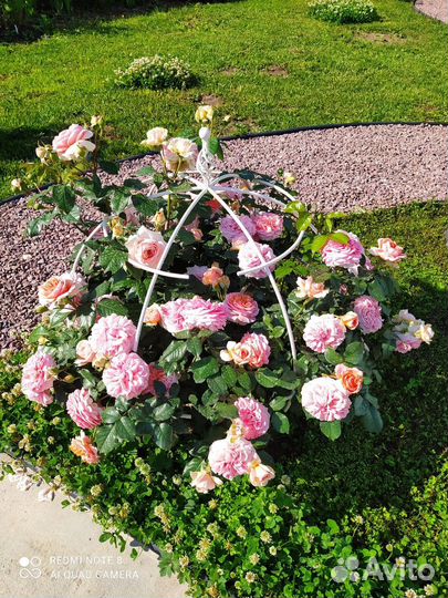 Опора под растения 