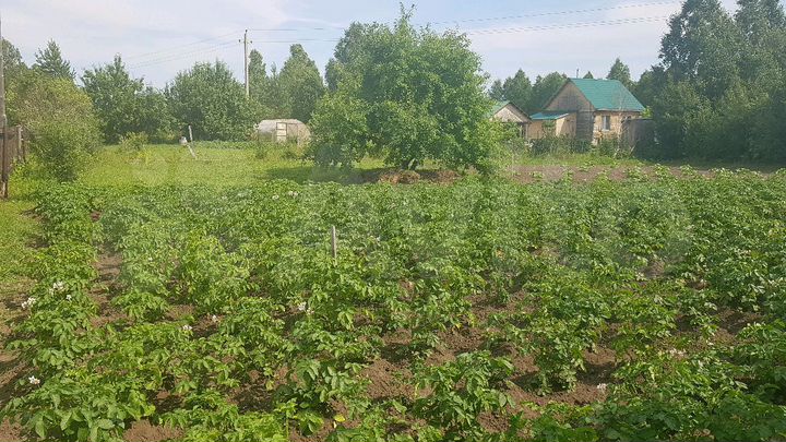 Участок 8 сот. (СНТ, ДНП)