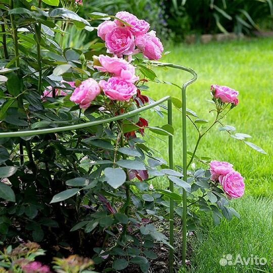 Кустодержатель для растений