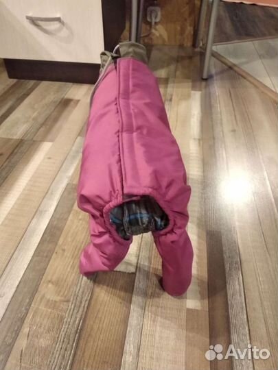 Комбенизон для собак