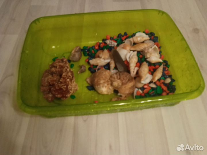 Аквариум для черепах